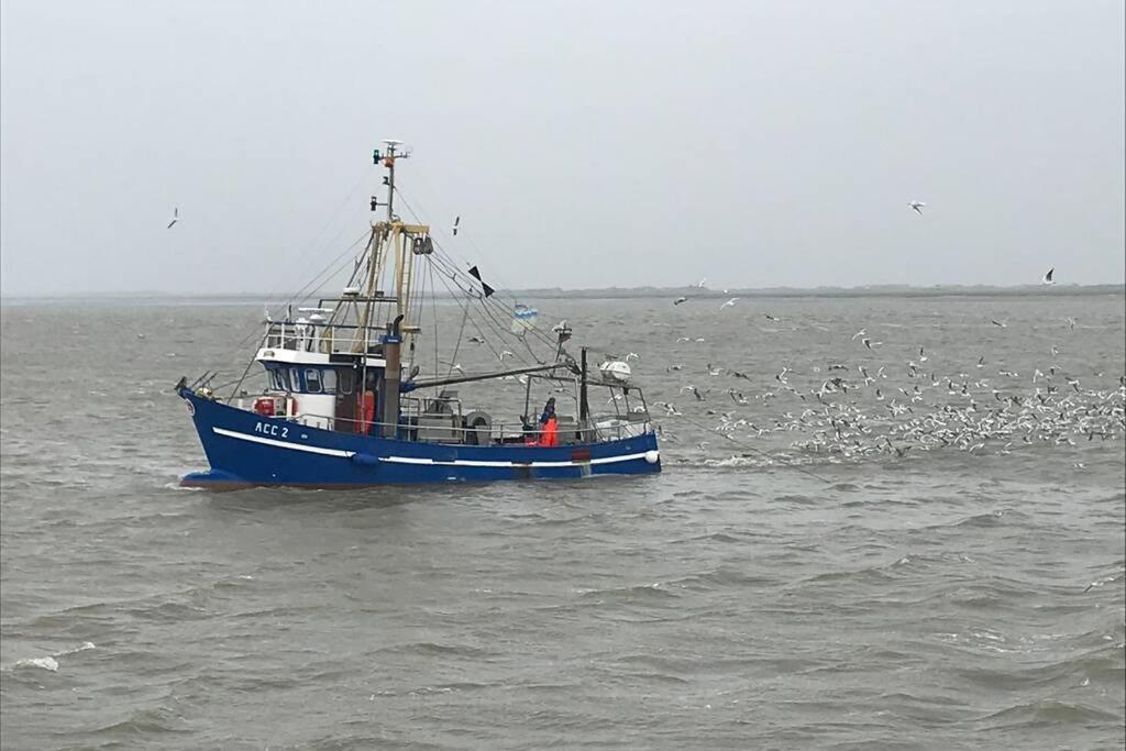 Nordsee Ferienwohnung Fuer 2 Personen Schillig Dış mekan fotoğraf